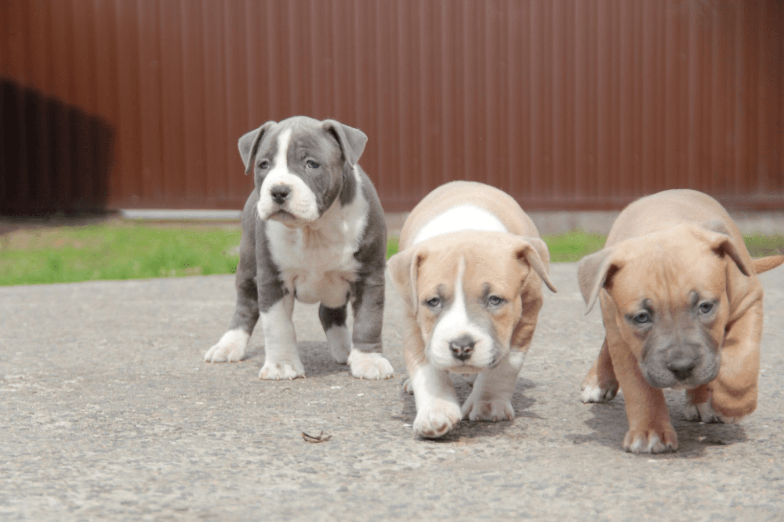 carousel-image-mobile-6