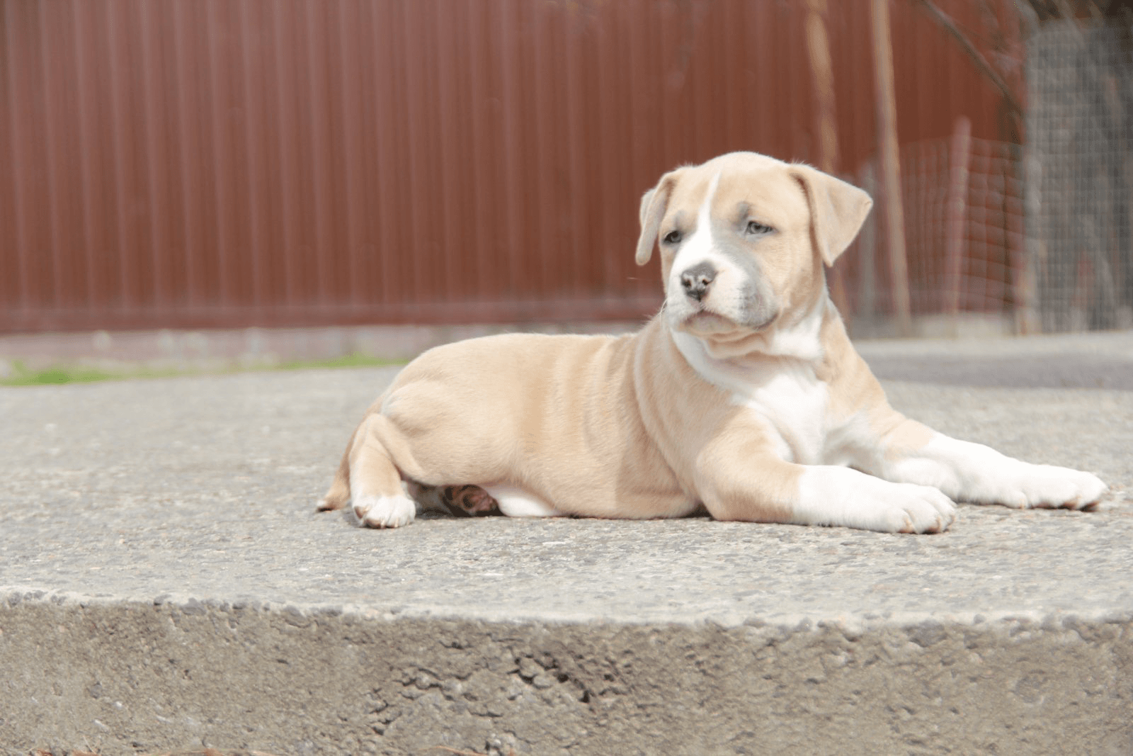 carousel-image-mobile-8