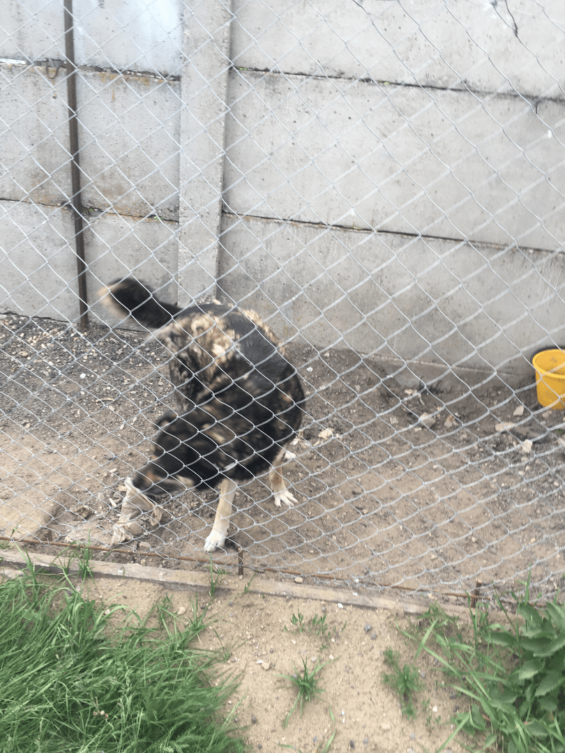 carousel-image-mobile-1