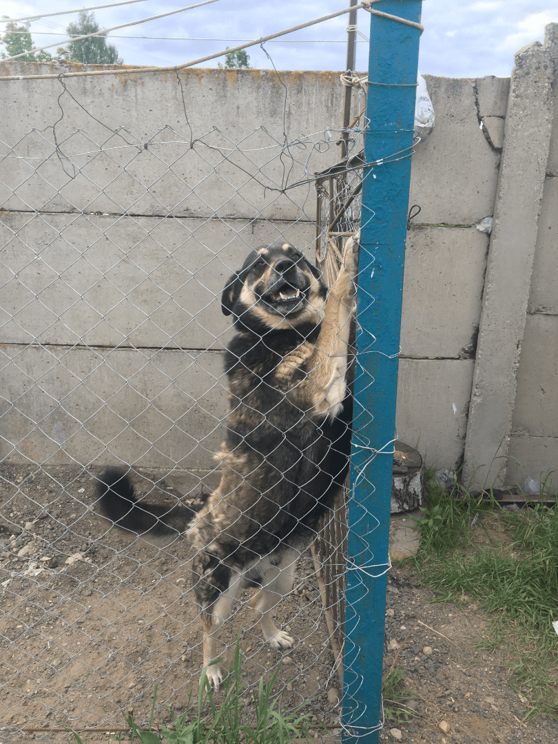 carousel-image-mobile-2