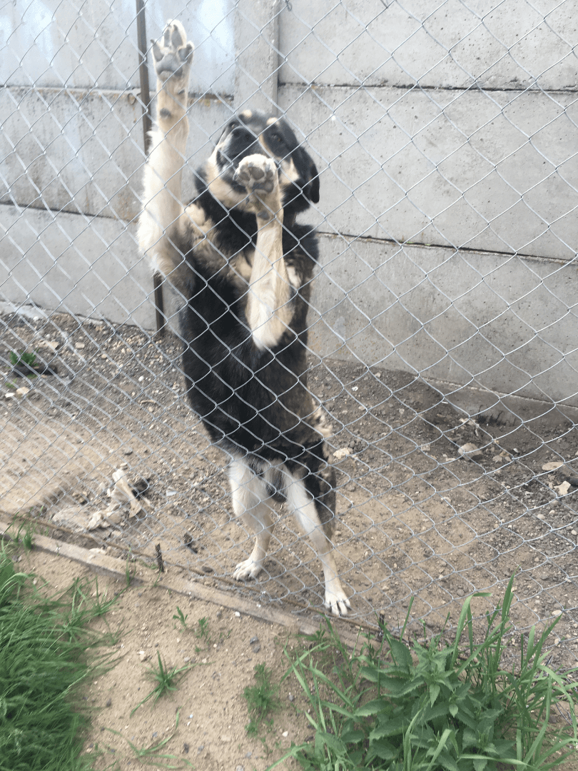 carousel-image-mobile-3