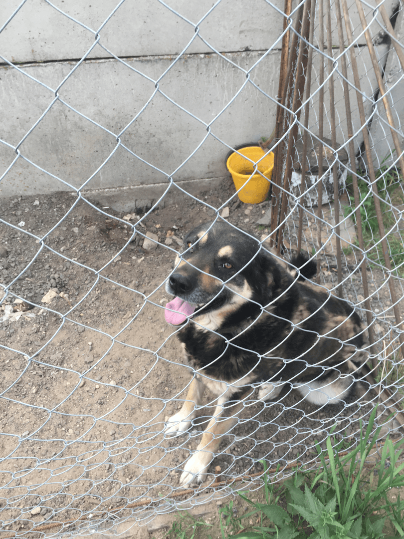 carousel-image-mobile-4