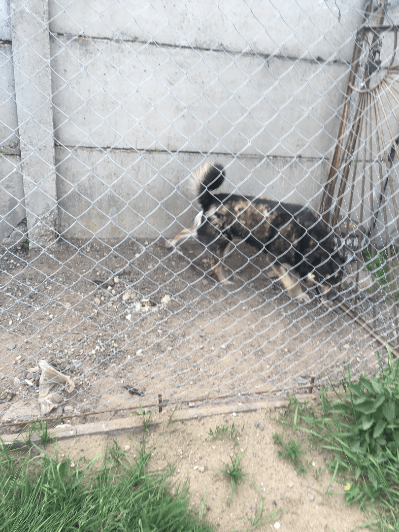 carousel-image-mobile-5