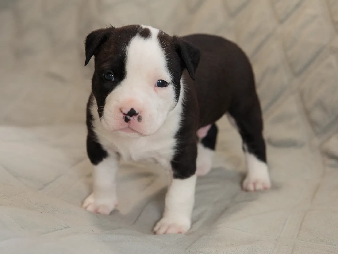 carousel-image-mobile-1