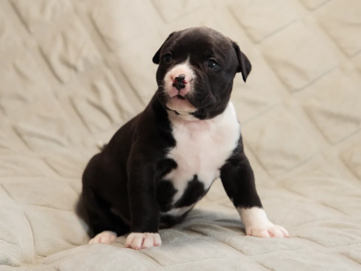 carousel-image-mobile-4