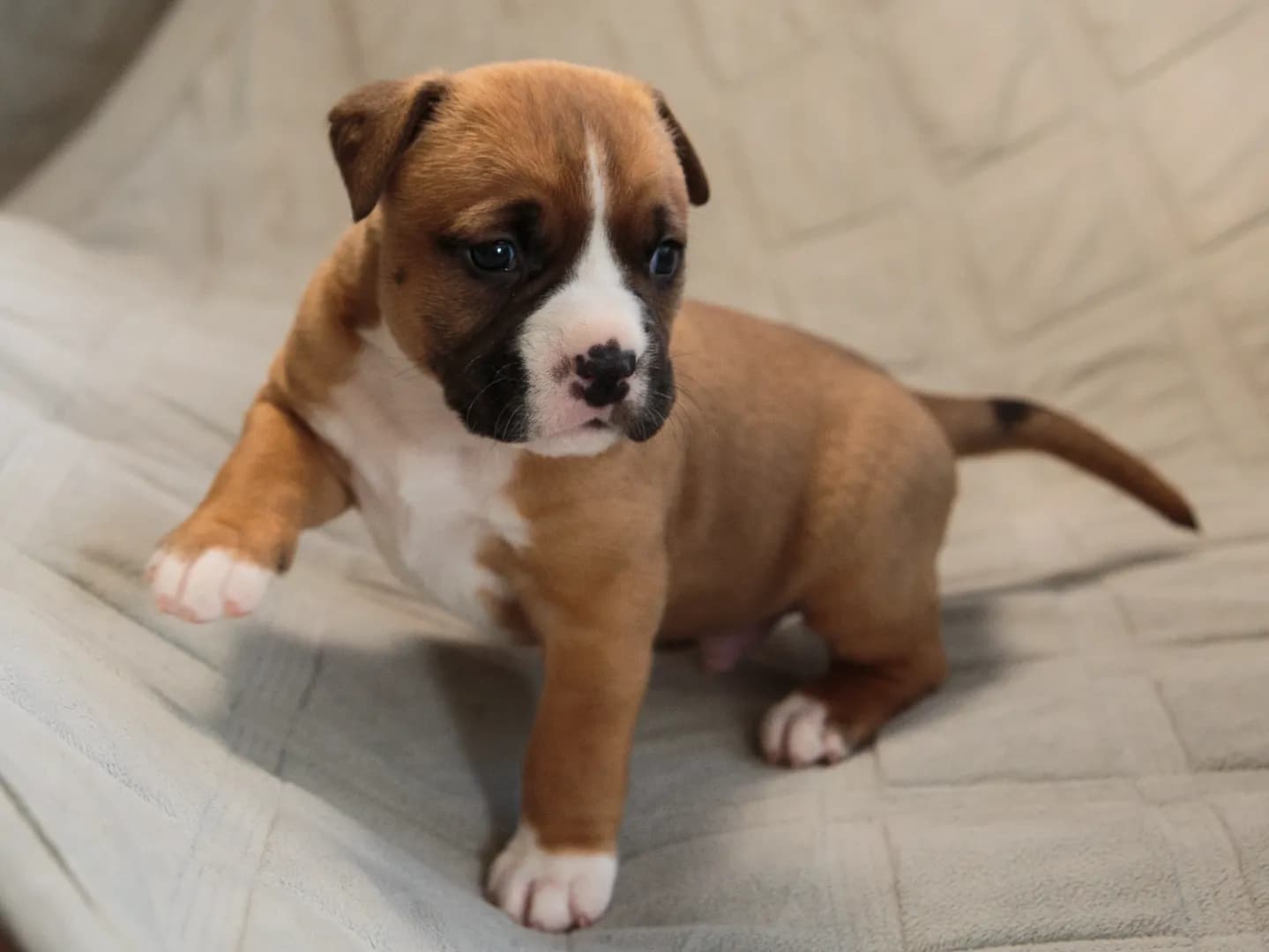 carousel-image-mobile-5