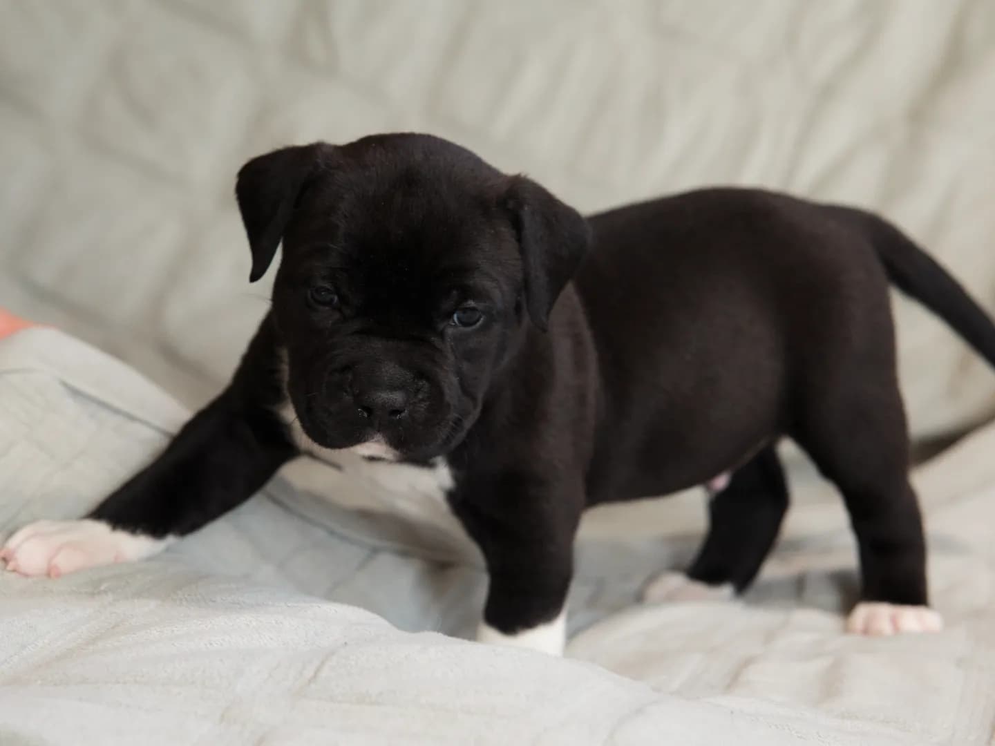 carousel-image-mobile-6