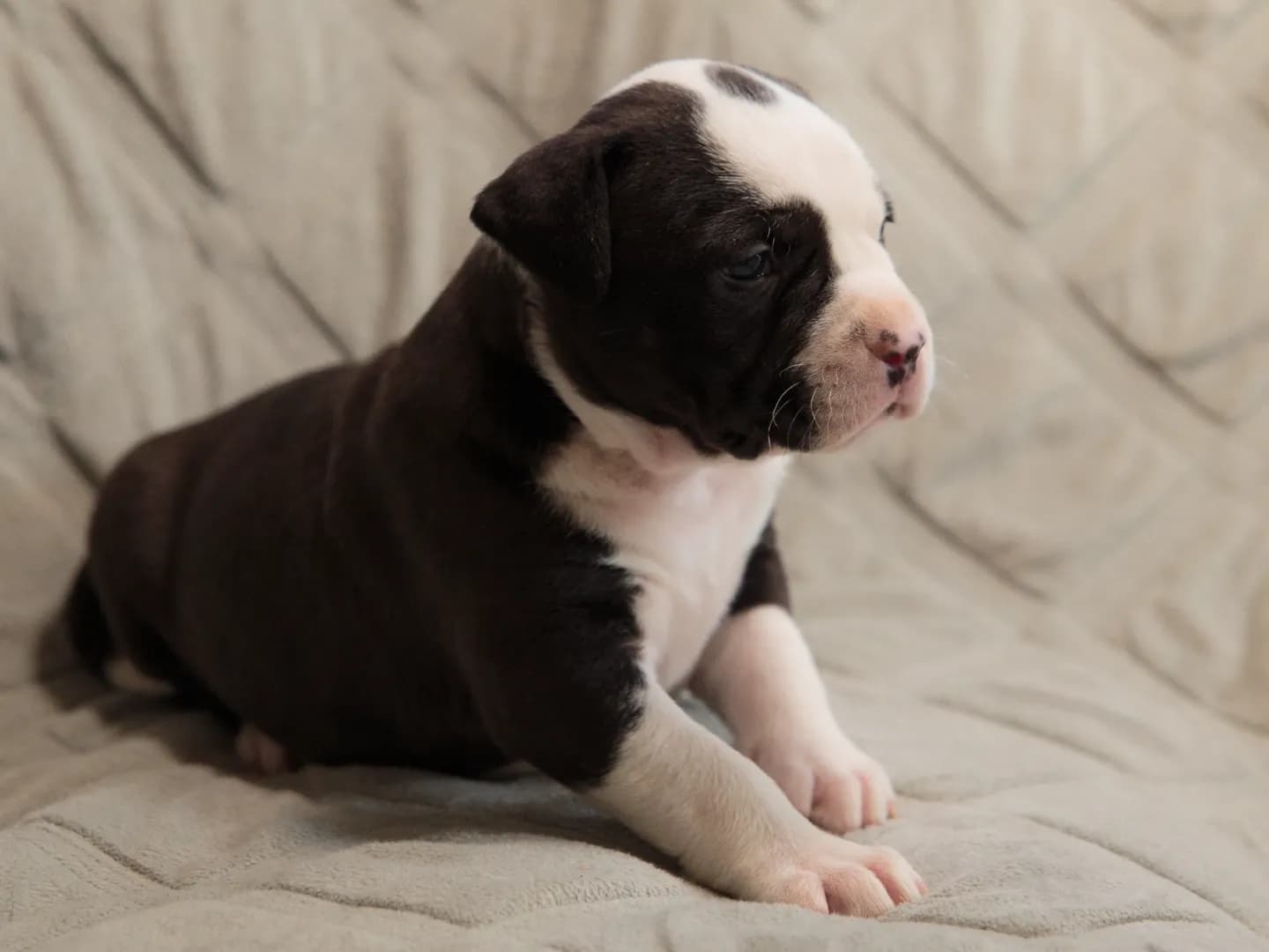 carousel-image-mobile-7