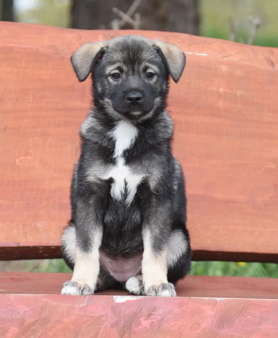 carousel-image-mobile-1