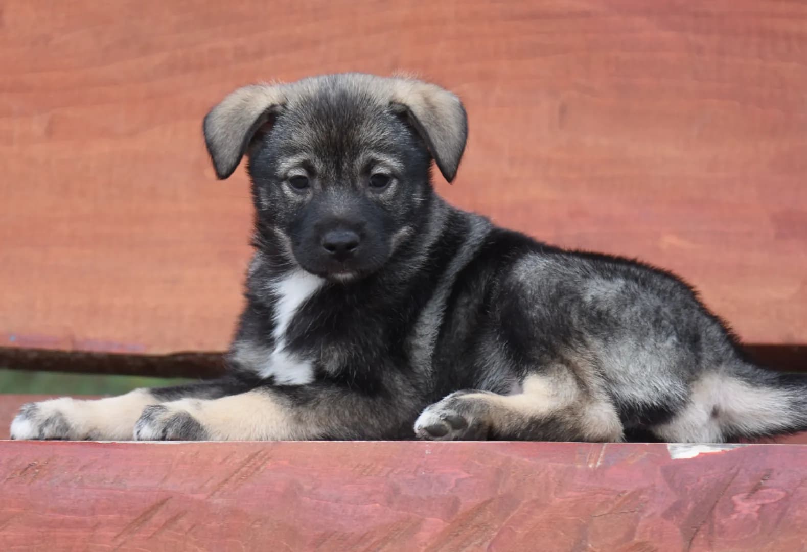 carousel-image-mobile-2