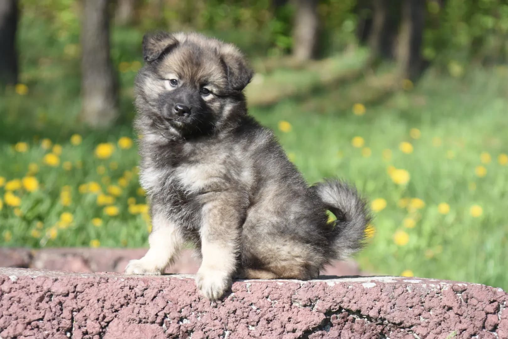 carousel-image-mobile-1