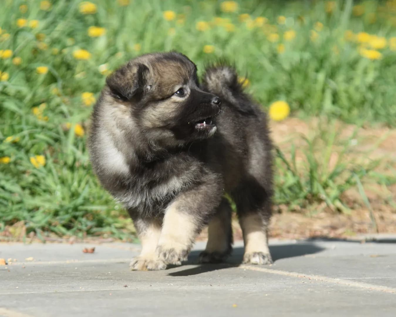 carousel-image-mobile-2