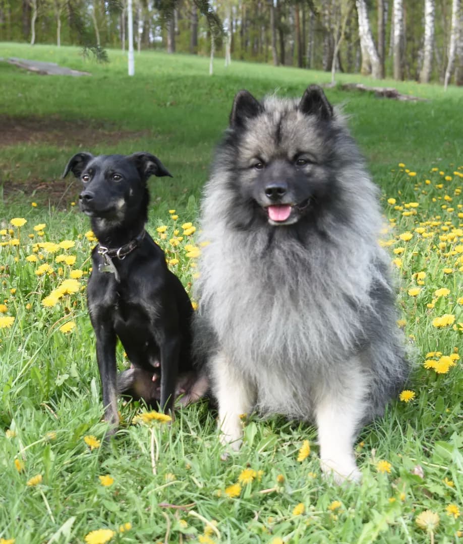 carousel-image-mobile-3