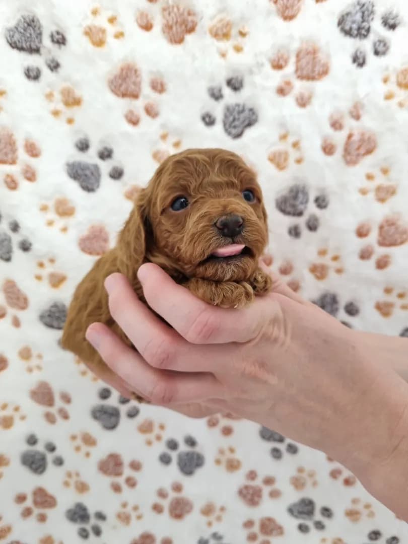 carousel-image-mobile-3