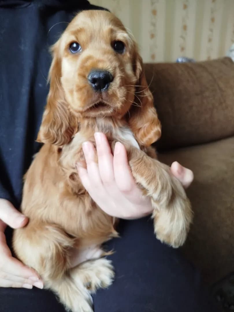 carousel-image-mobile-1