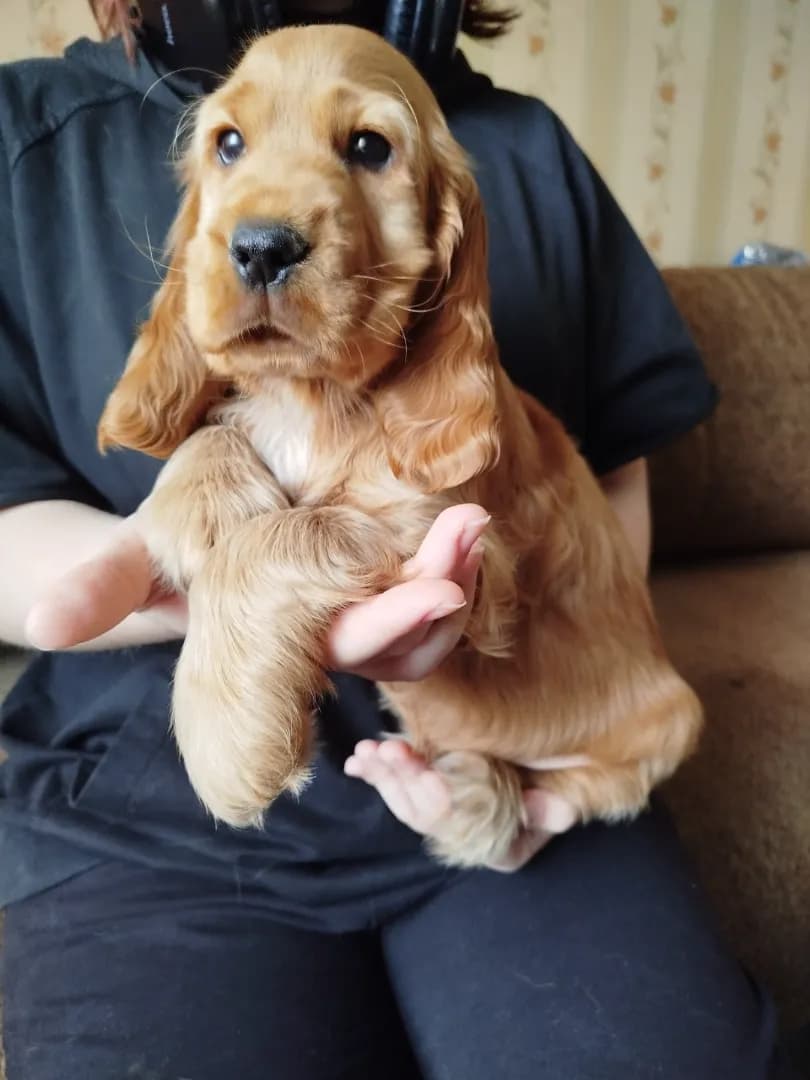 carousel-image-mobile-2