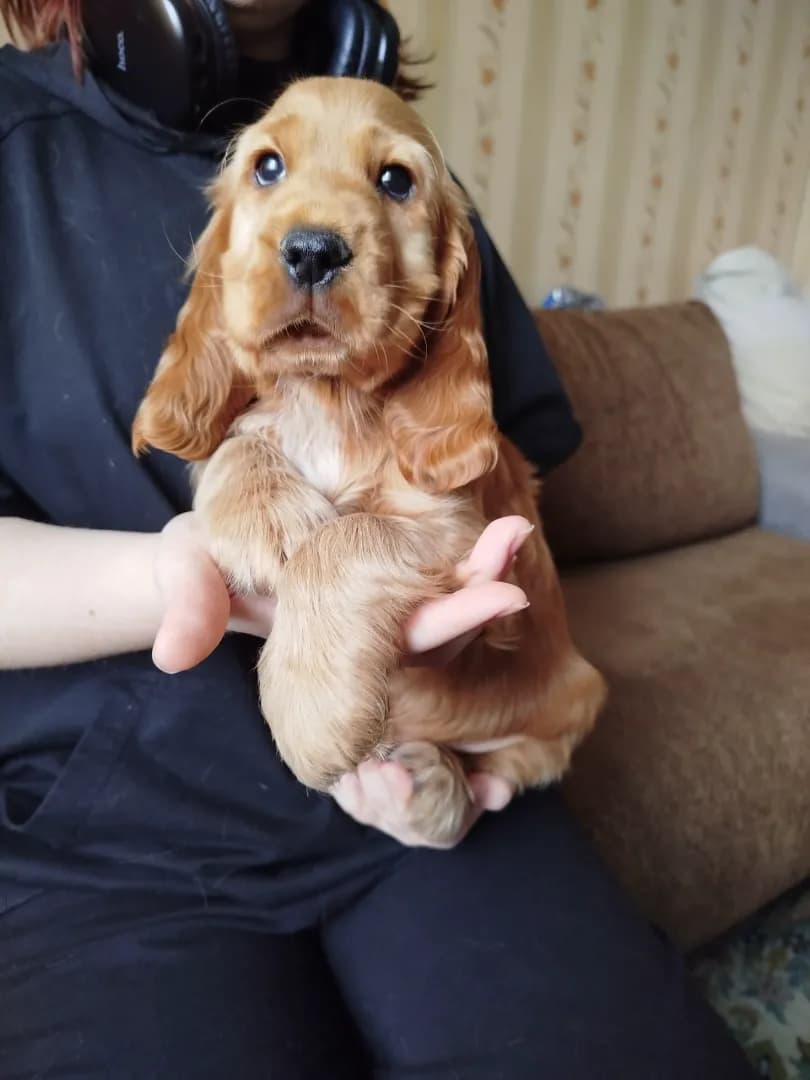 carousel-image-mobile-3