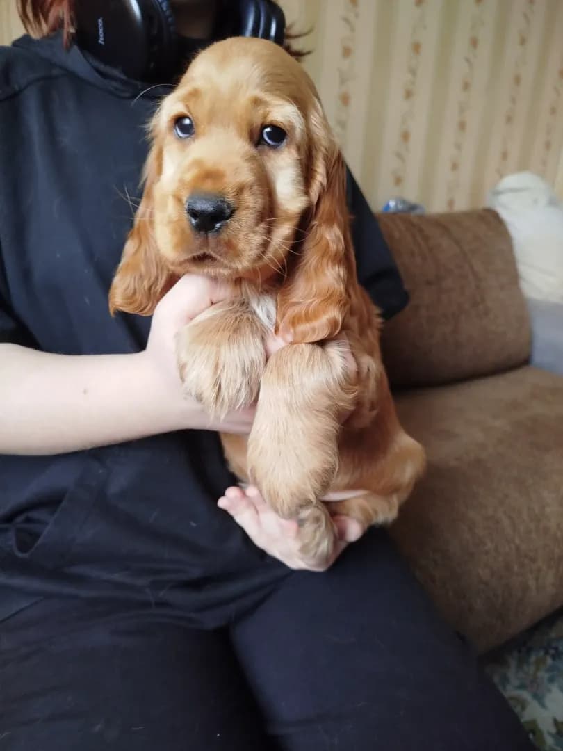 carousel-image-mobile-4