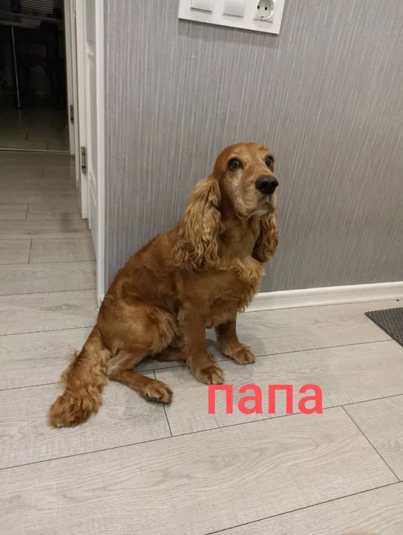 carousel-image-mobile-5