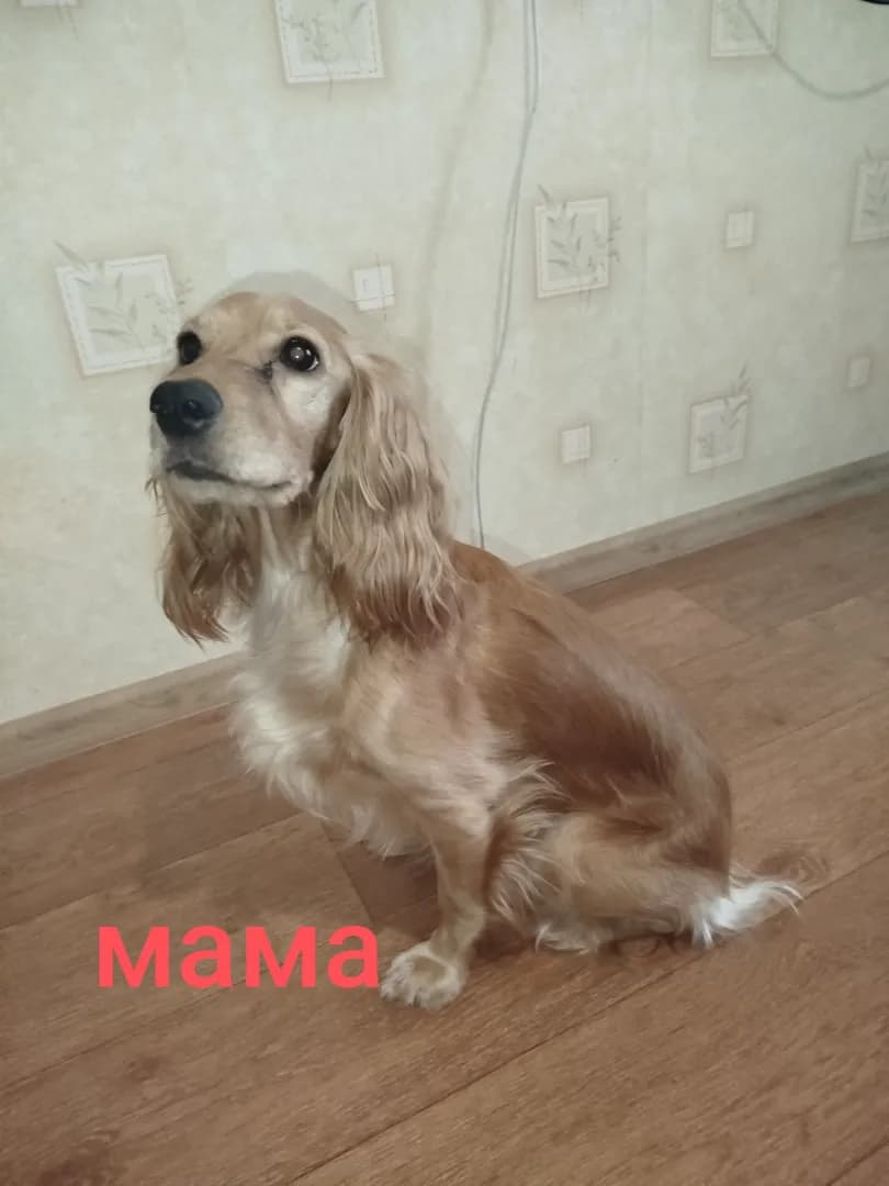 carousel-image-mobile-6