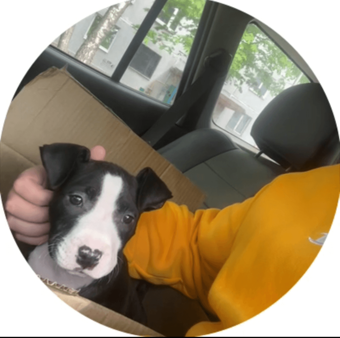 carousel-image-mobile-1