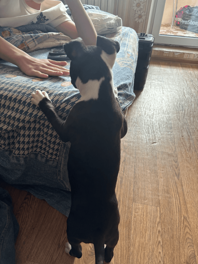 carousel-image-mobile-2