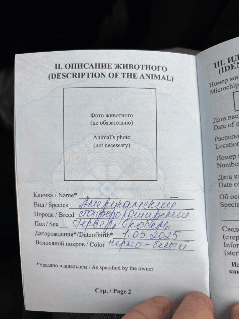 carousel-image-mobile-3