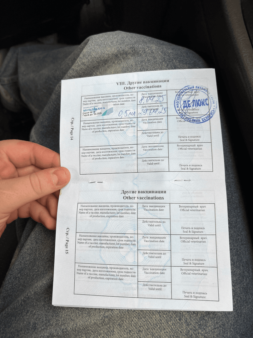 carousel-image-mobile-5