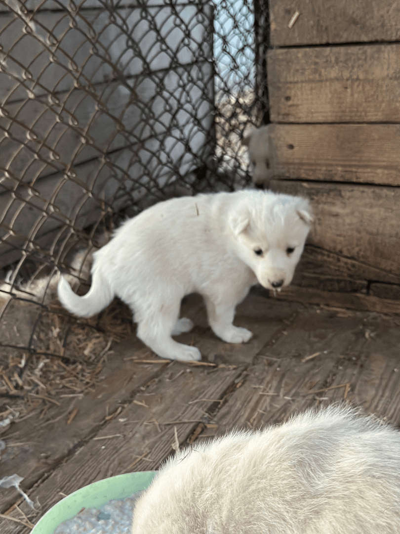 carousel-image-mobile-1