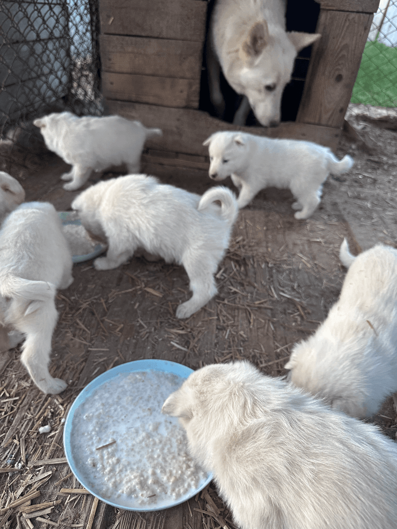 carousel-image-mobile-2