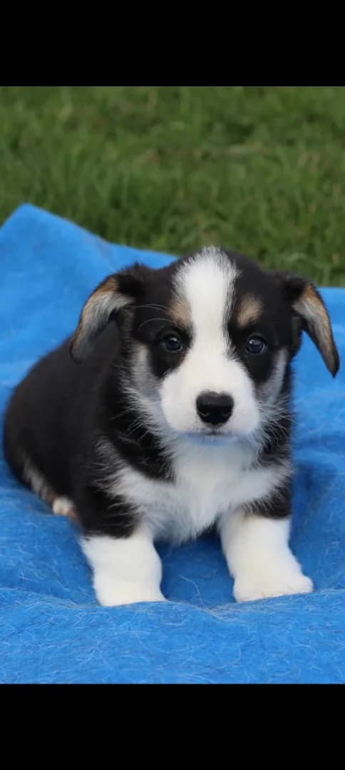 carousel-image-mobile-1