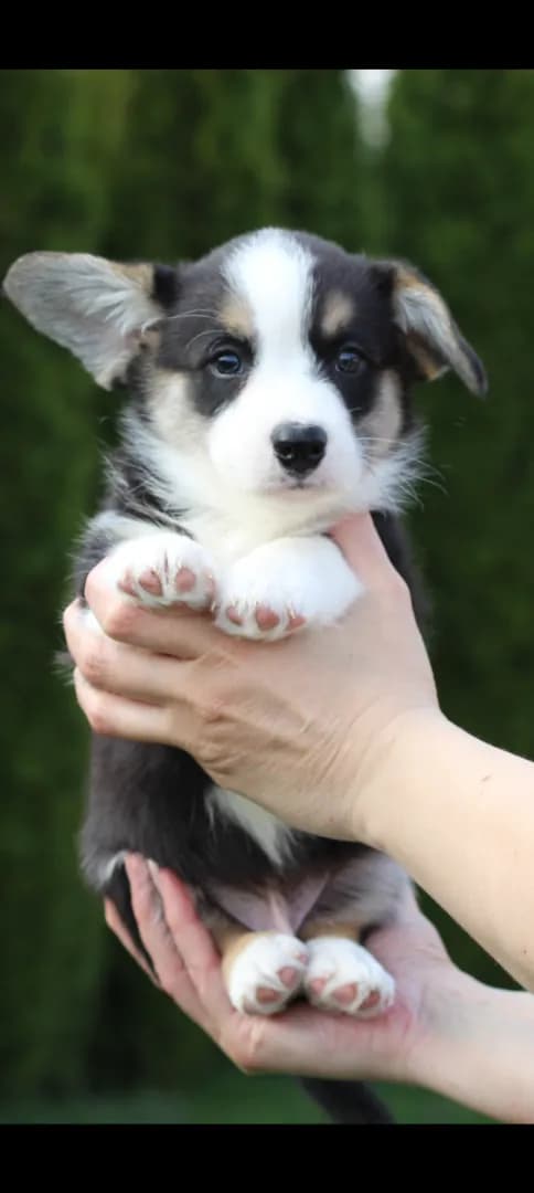 carousel-image-mobile-2