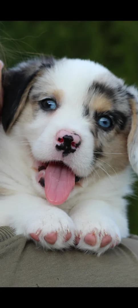 carousel-image-mobile-1