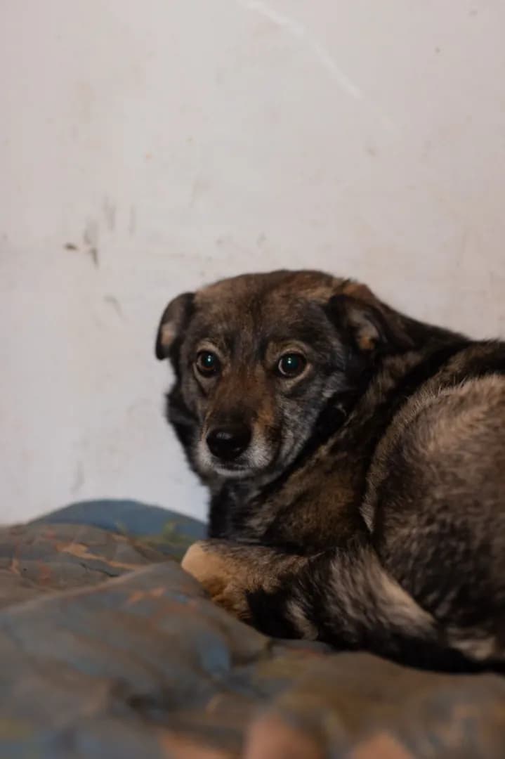 carousel-image-mobile-1