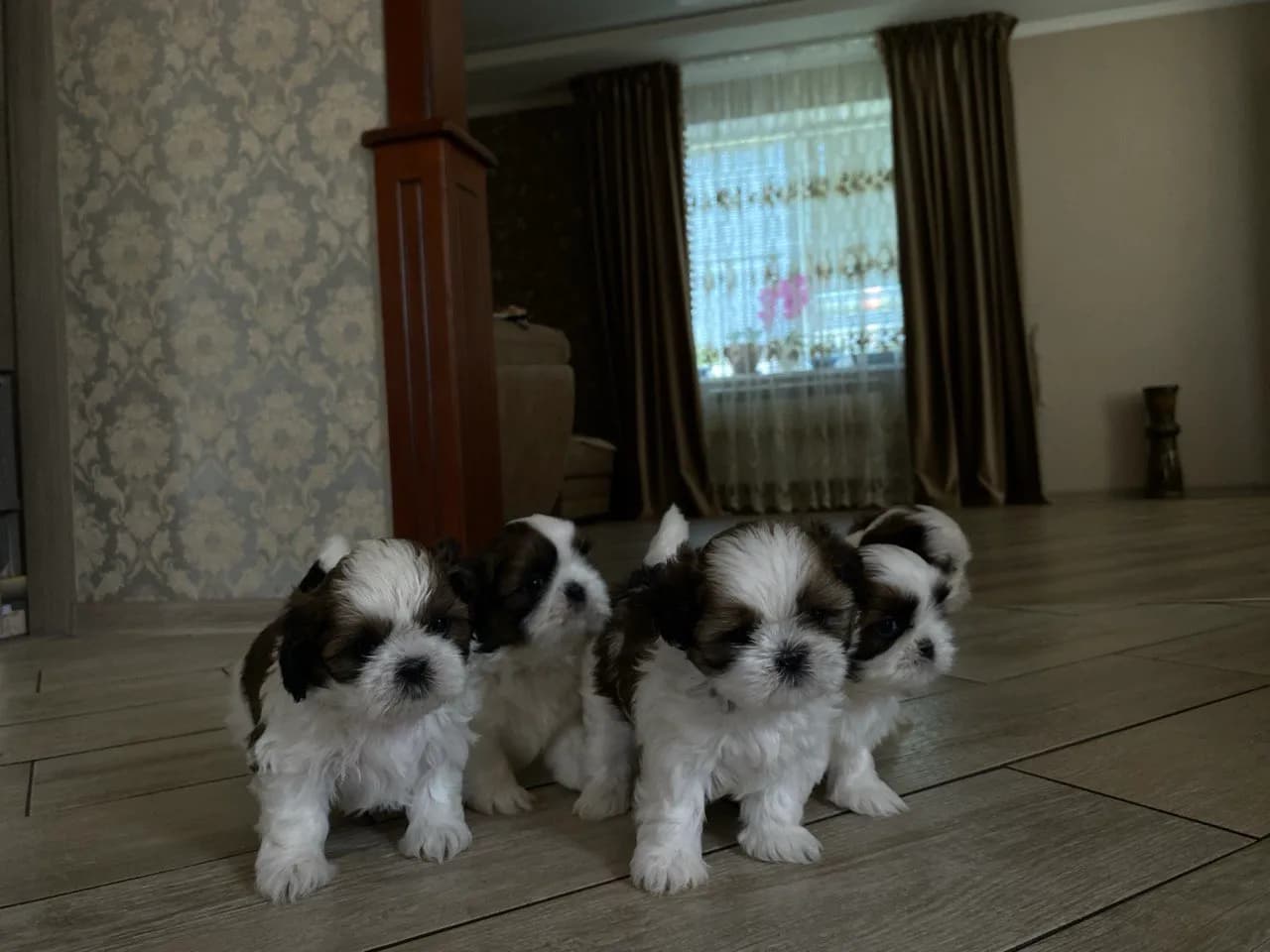 carousel-image-mobile-4