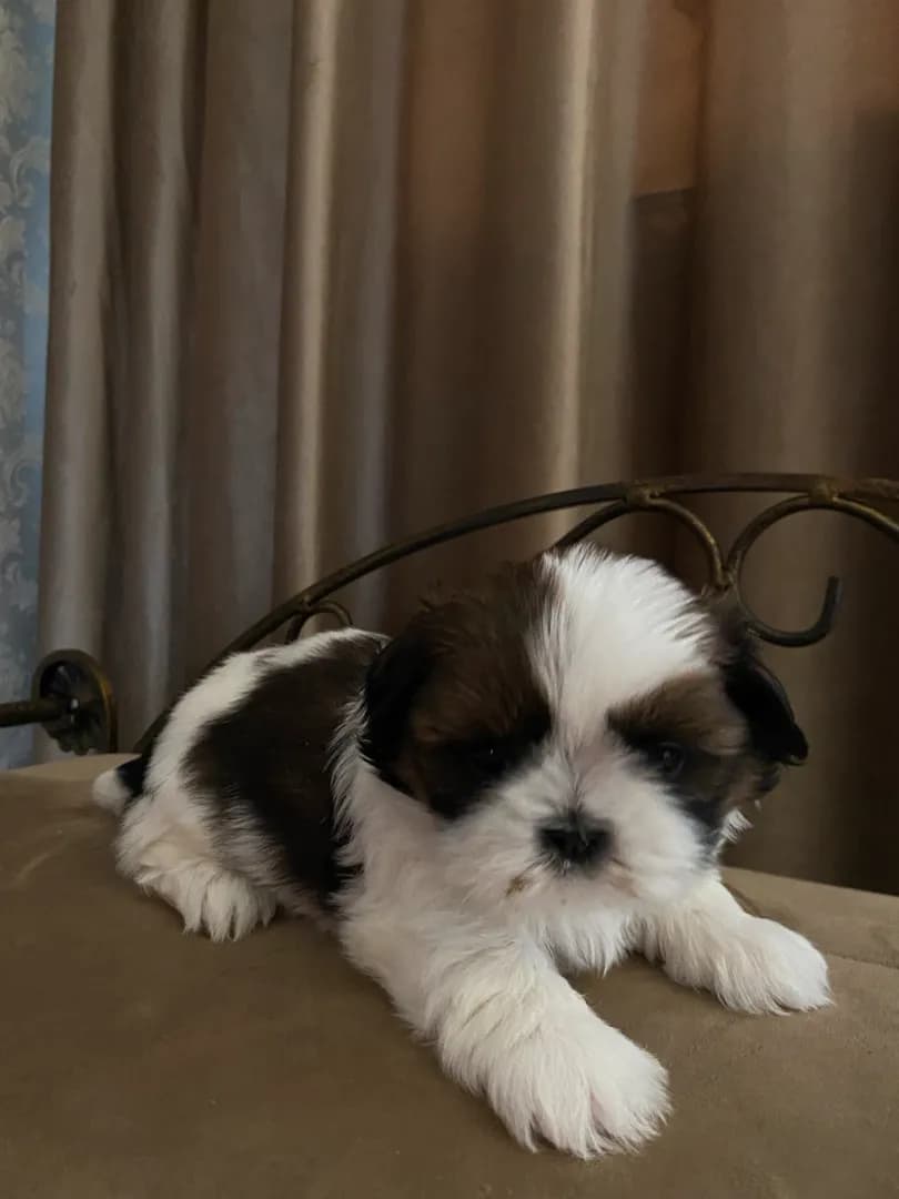 carousel-image-mobile-5