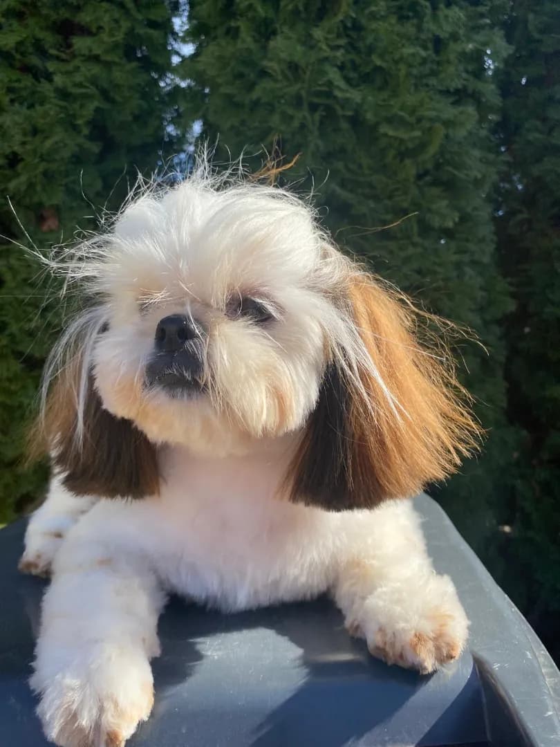 carousel-image-mobile-6