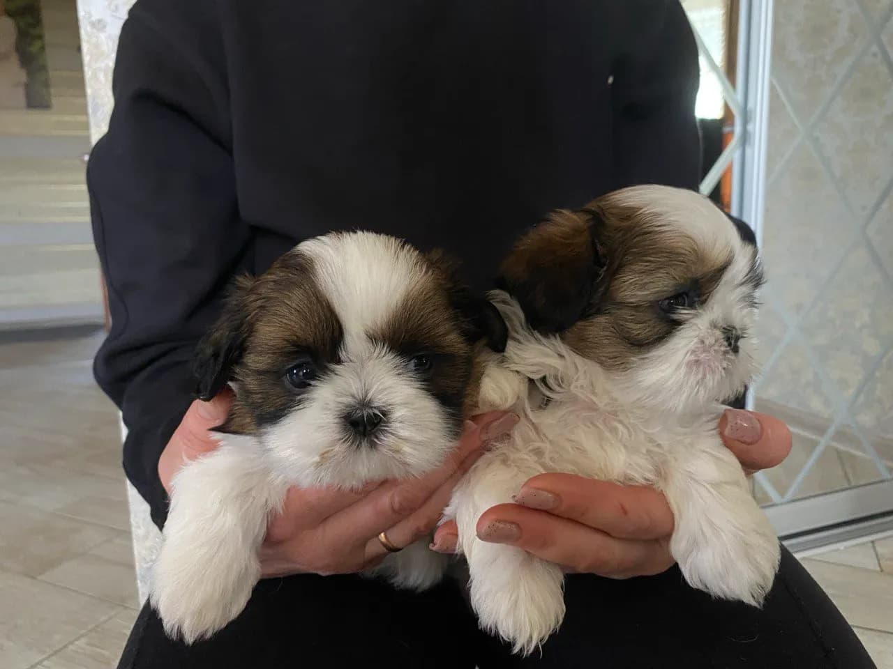 carousel-image-mobile-1