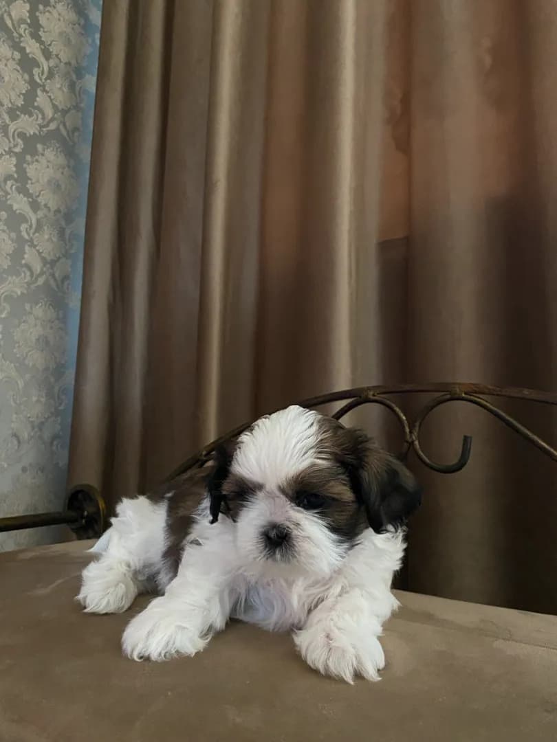 carousel-image-mobile-2