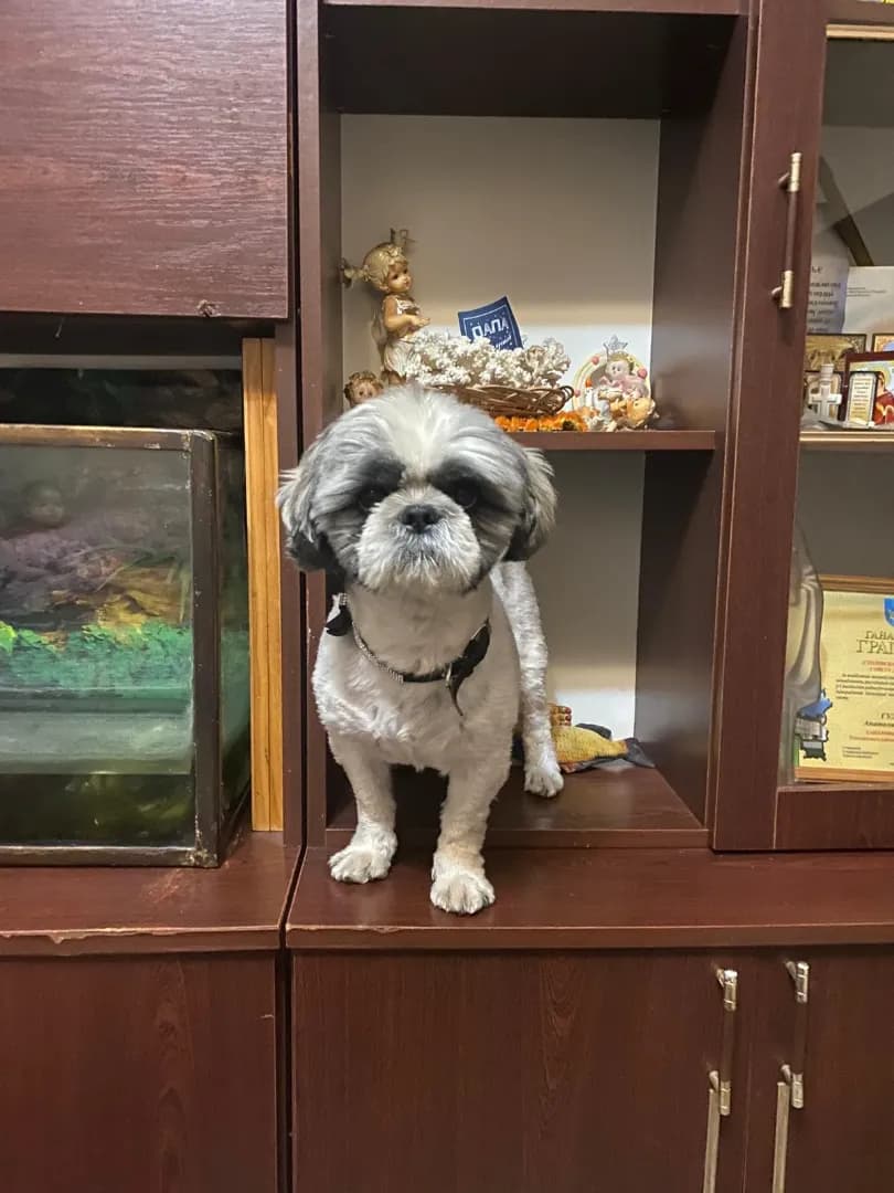 carousel-image-mobile-7