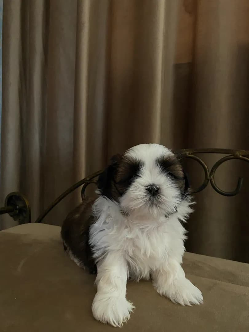 carousel-image-mobile-3