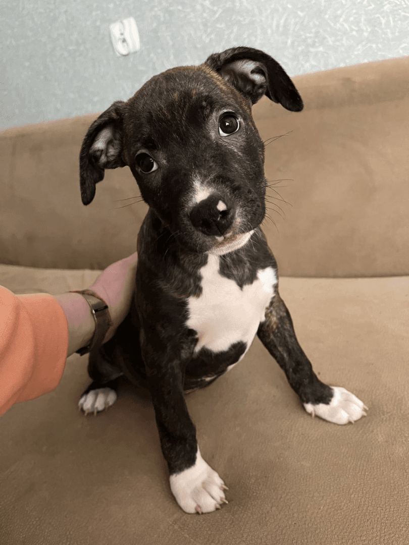 carousel-image-mobile-1