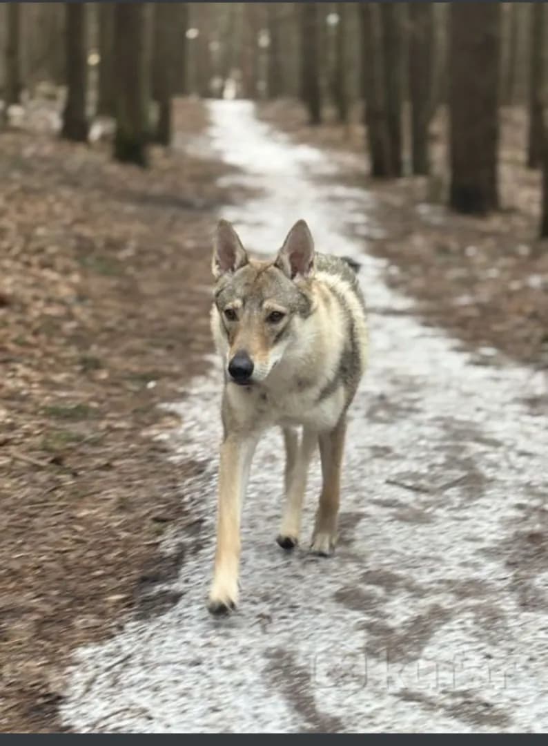 carousel-image-mobile-1