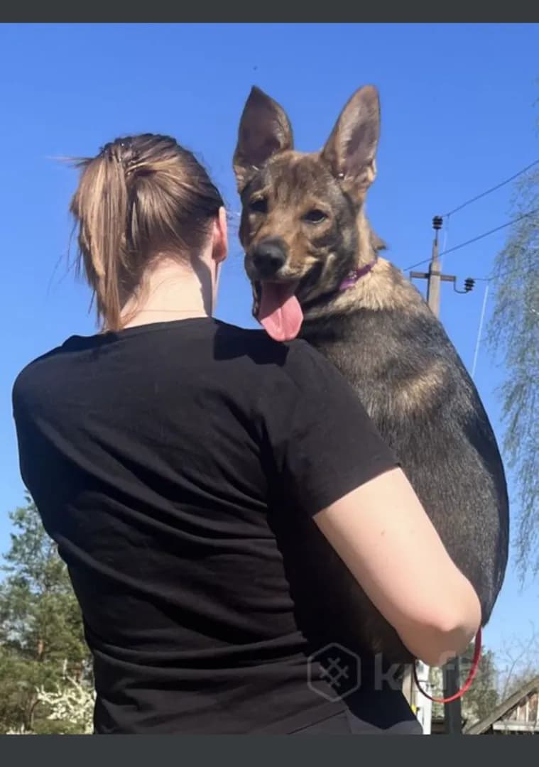 carousel-image-mobile-2