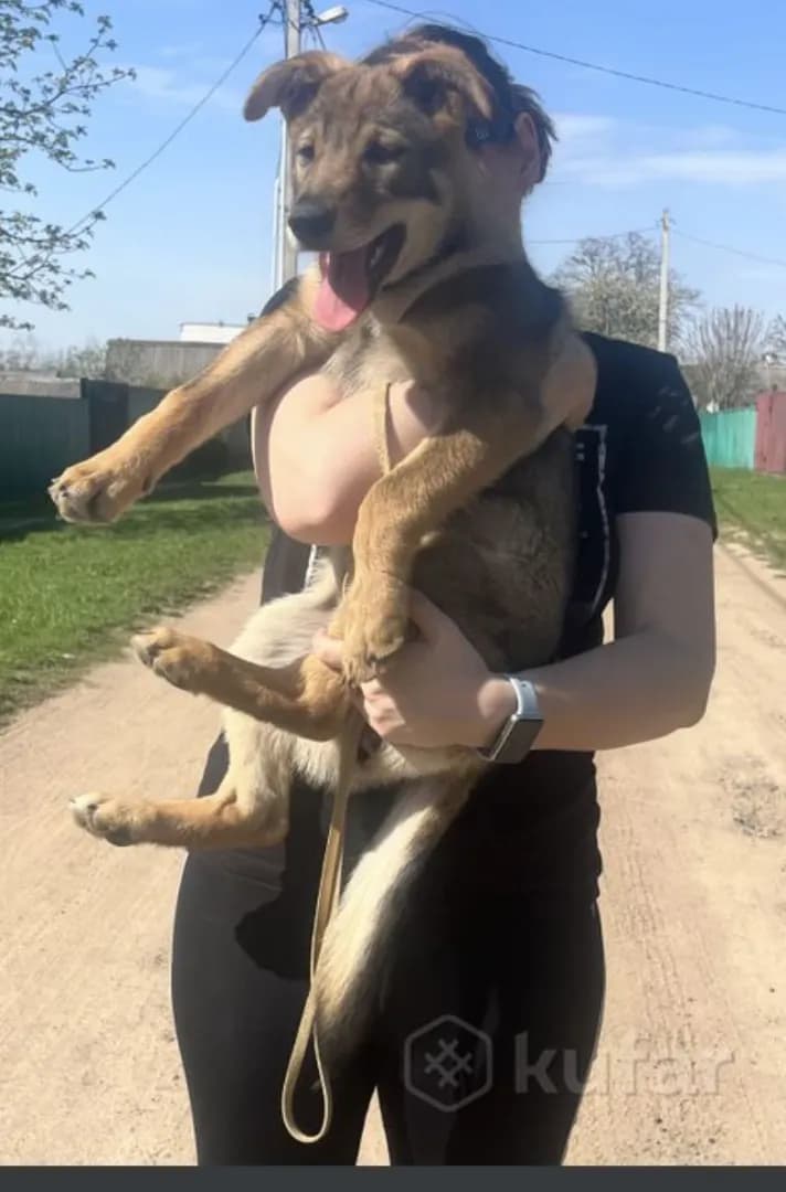 carousel-image-mobile-3