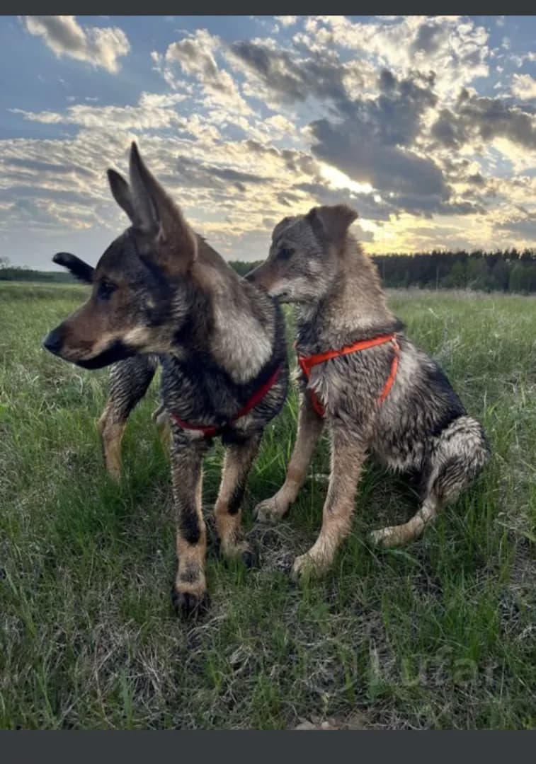 carousel-image-mobile-5