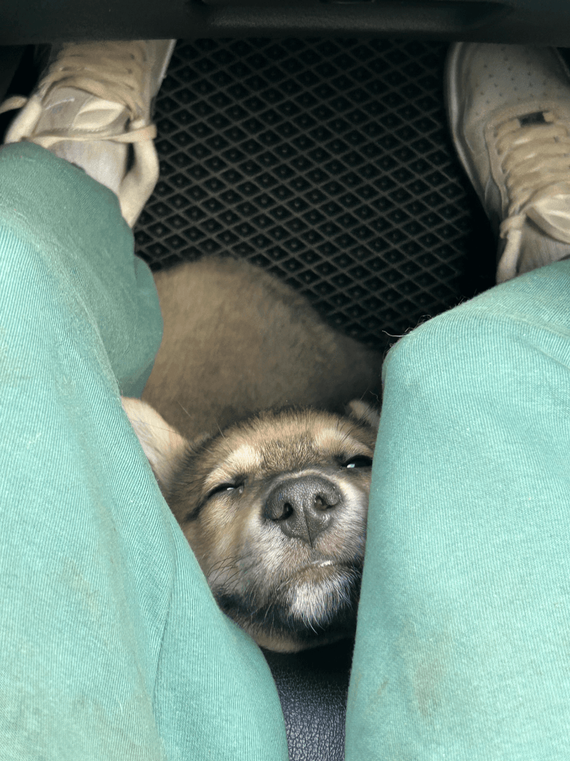 carousel-image-mobile-1