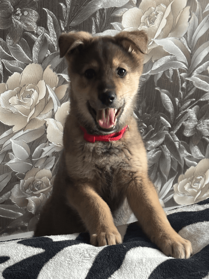 carousel-image-mobile-2