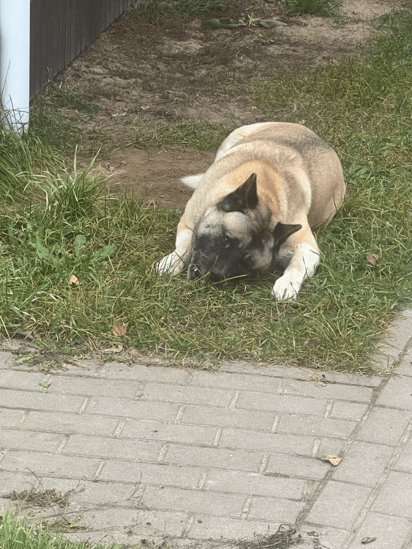 carousel-image-mobile-1