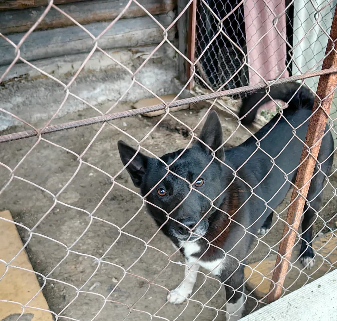 carousel-image-mobile-1